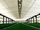 San-Ai Heat Shielding Netting "Cool White"